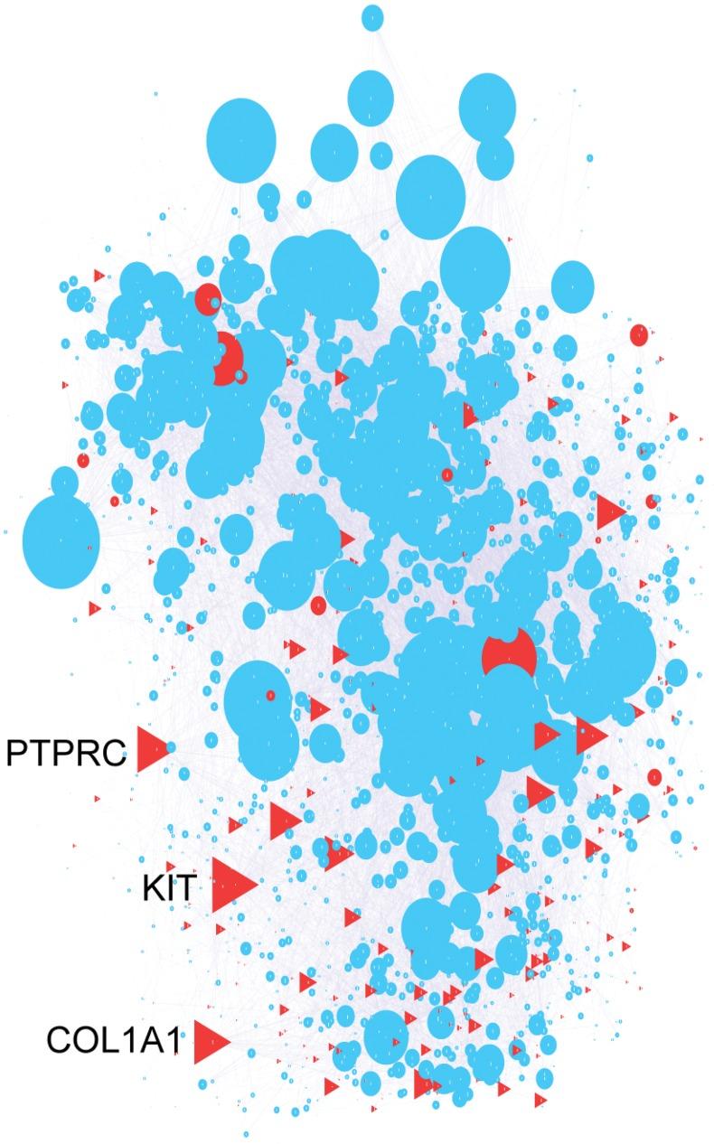 https://cdn.ncbi.nlm.nih.gov/pmc/blobs/6710/6798819/6e1ff265864d/OTT-12-8479-g0002.jpg
