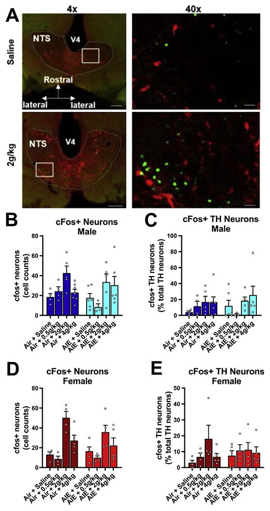 https://cdn.ncbi.nlm.nih.gov/pmc/blobs/6711/10756564/7b77574a84b6/nihms-1952477-f0004.jpg