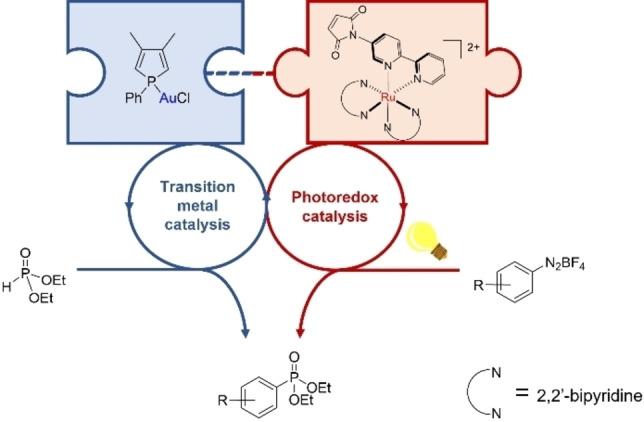 https://cdn.ncbi.nlm.nih.gov/pmc/blobs/6712/9804866/1d6aa9a6898d/CHEM-28-0-g014.jpg