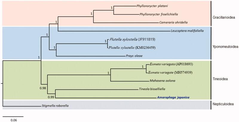 https://cdn.ncbi.nlm.nih.gov/pmc/blobs/6713/7782908/447db1ac38d9/TMDN_A_1774437_F0001_C.jpg