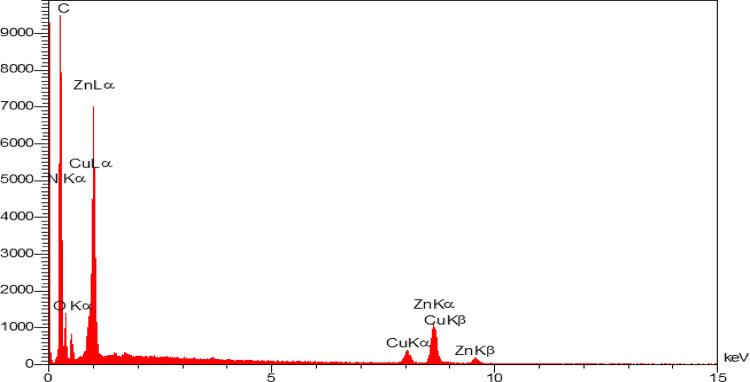 https://cdn.ncbi.nlm.nih.gov/pmc/blobs/6714/12102240/6157035cccd1/41598_2025_2953_Fig6_HTML.jpg