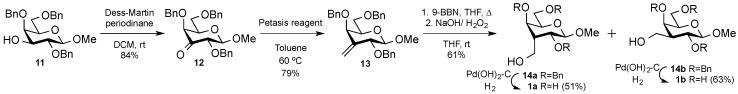 https://cdn.ncbi.nlm.nih.gov/pmc/blobs/6714/6696278/41e77609de21/ijms-20-03786-sch001.jpg