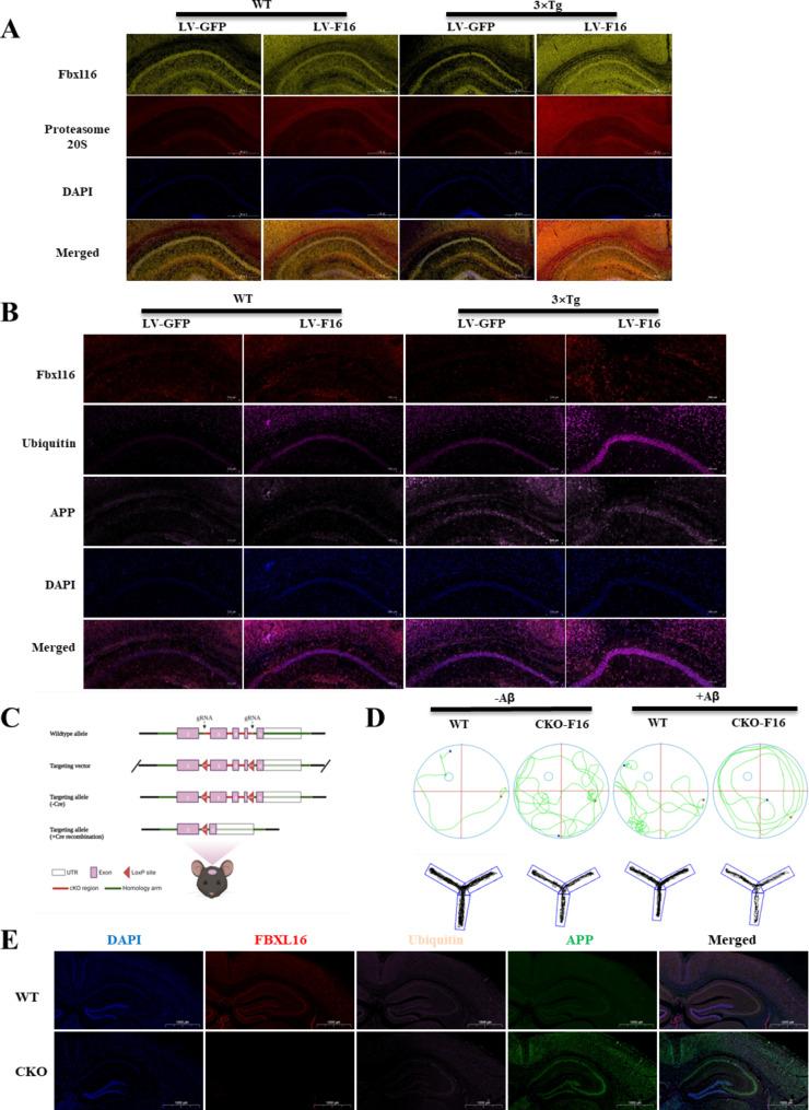 https://cdn.ncbi.nlm.nih.gov/pmc/blobs/6715/11580471/275066b134aa/40364_2024_691_Fig7_HTML.jpg