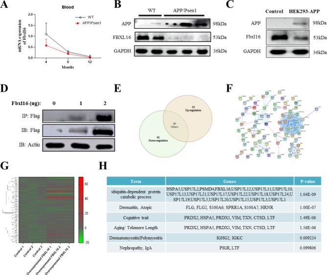 https://cdn.ncbi.nlm.nih.gov/pmc/blobs/6715/11580471/4f8d977dd85a/40364_2024_691_Fig1_HTML.jpg
