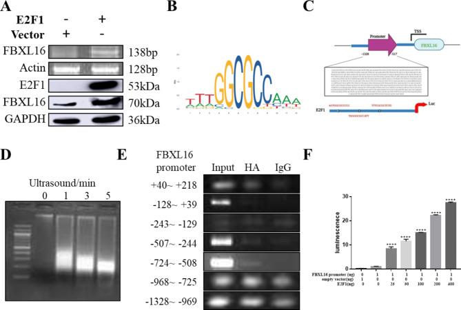 https://cdn.ncbi.nlm.nih.gov/pmc/blobs/6715/11580471/a08646930d54/40364_2024_691_Fig2_HTML.jpg