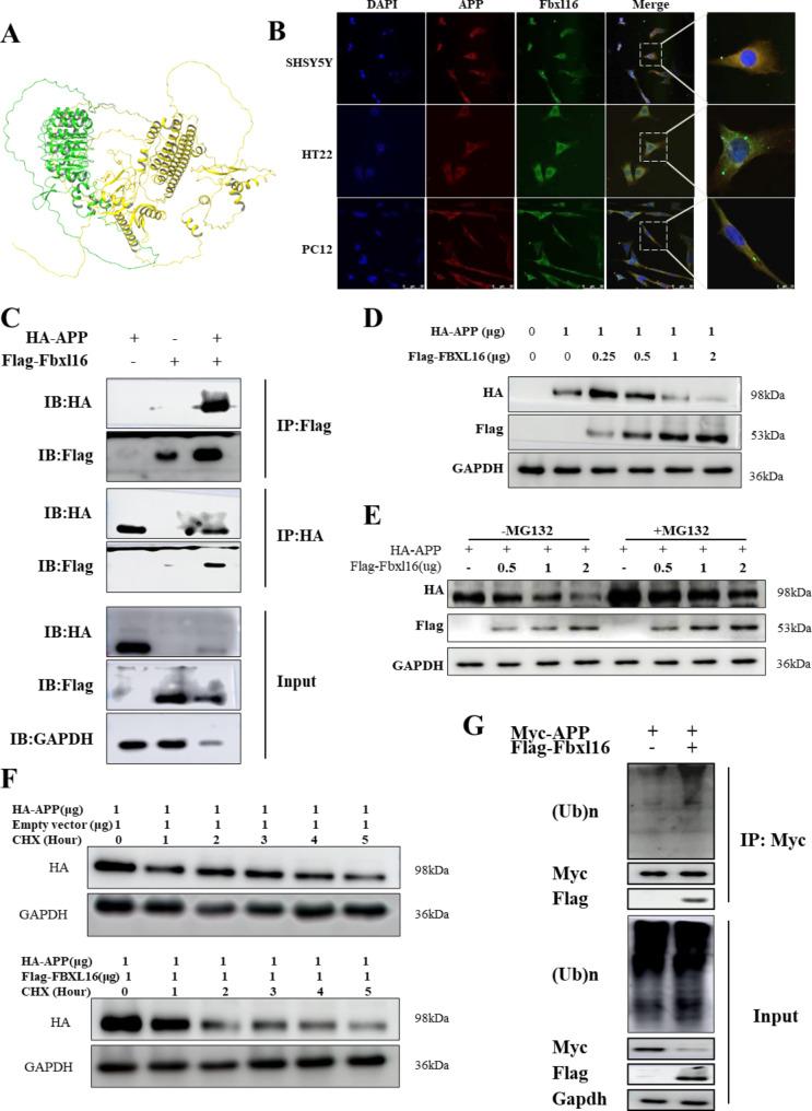 https://cdn.ncbi.nlm.nih.gov/pmc/blobs/6715/11580471/dd36143b7606/40364_2024_691_Fig3_HTML.jpg
