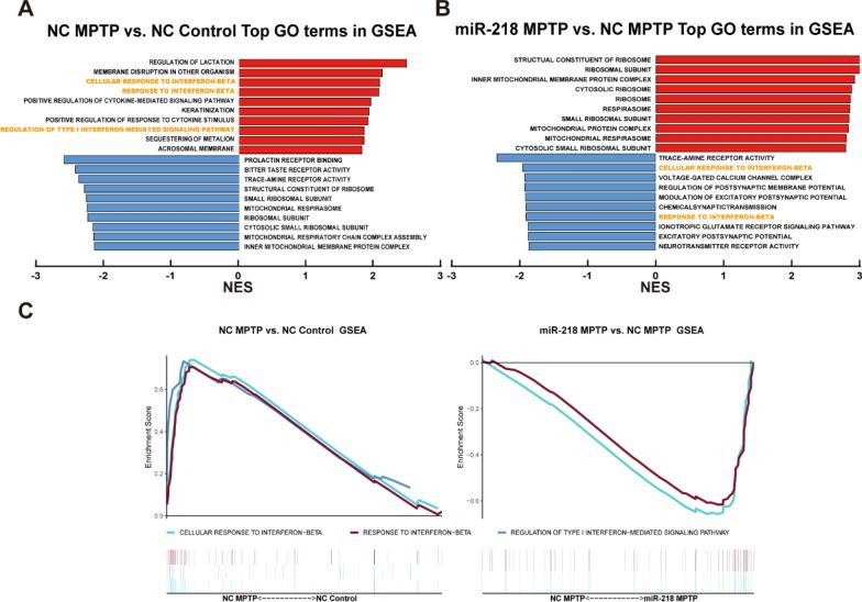 https://cdn.ncbi.nlm.nih.gov/pmc/blobs/6716/10792813/1524ecbe0217/12967_2024_4881_Fig4_HTML.jpg
