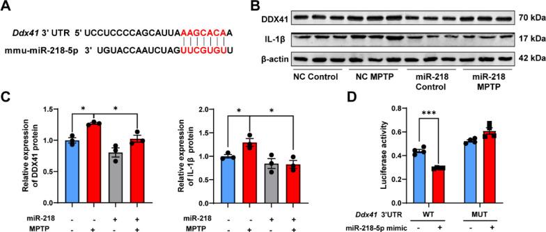 https://cdn.ncbi.nlm.nih.gov/pmc/blobs/6716/10792813/a58c191b9eec/12967_2024_4881_Fig5_HTML.jpg