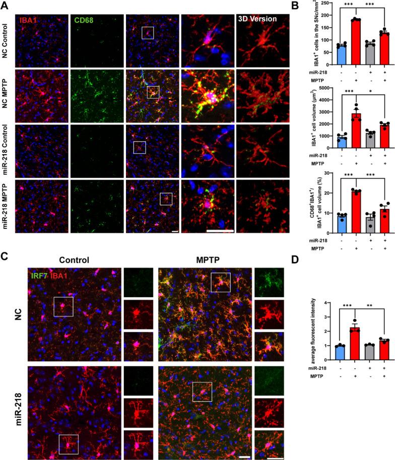 https://cdn.ncbi.nlm.nih.gov/pmc/blobs/6716/10792813/e1ed1cd8ff60/12967_2024_4881_Fig2_HTML.jpg