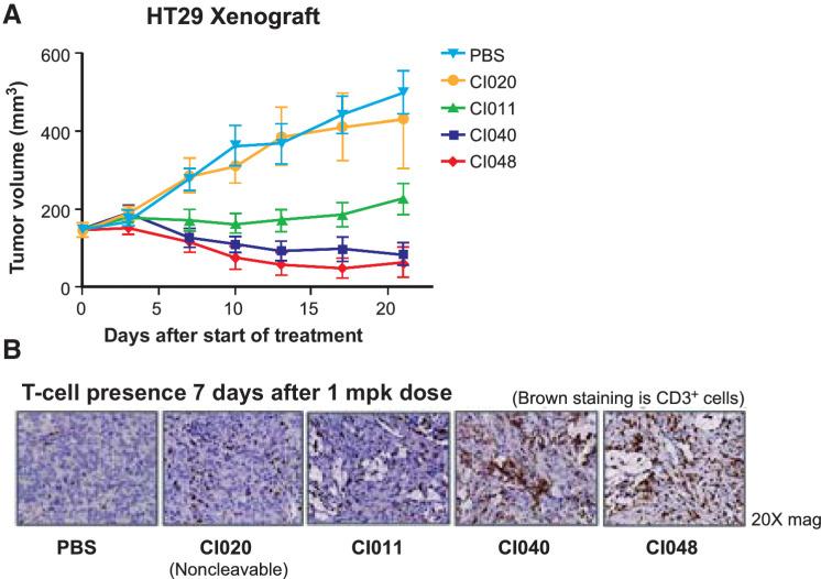 https://cdn.ncbi.nlm.nih.gov/pmc/blobs/6718/9664135/a65242852671/4288fig5.jpg
