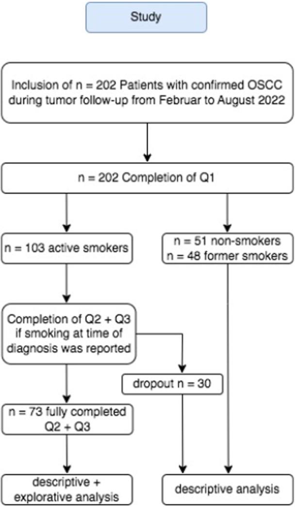 https://cdn.ncbi.nlm.nih.gov/pmc/blobs/6719/12337751/86420ac6123e/CRE2-11-e70154-g001.jpg