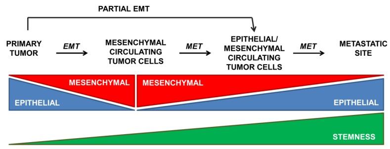 https://cdn.ncbi.nlm.nih.gov/pmc/blobs/6721/4810108/3f3cad6a6351/jcm-05-00037-g002.jpg