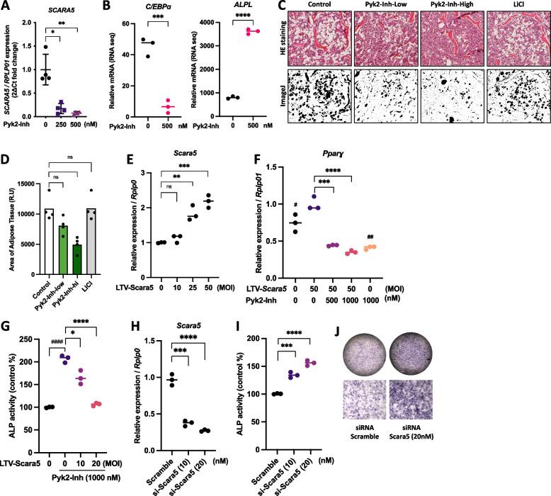 https://cdn.ncbi.nlm.nih.gov/pmc/blobs/6722/11583405/5d026b21d682/12964_2024_1945_Fig3_HTML.jpg