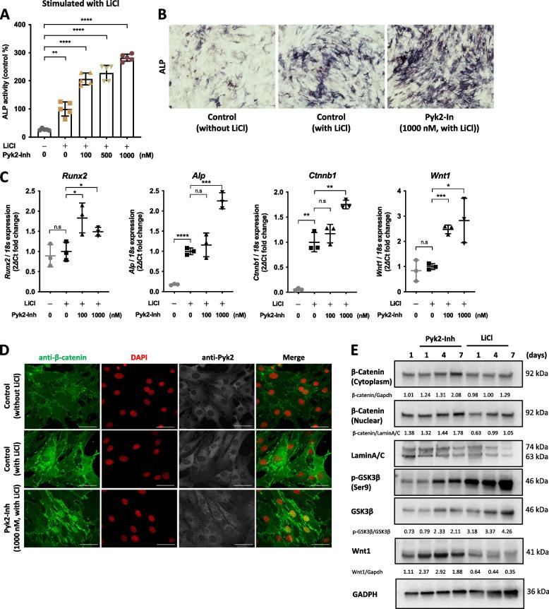 https://cdn.ncbi.nlm.nih.gov/pmc/blobs/6722/11583405/7fa8ad20a8b3/12964_2024_1945_Fig1_HTML.jpg