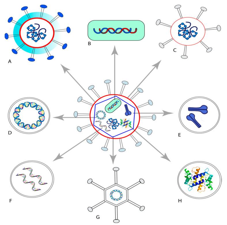 https://cdn.ncbi.nlm.nih.gov/pmc/blobs/6722/8619292/2d8d6a9e8e63/pharmaceuticals-14-01173-g001.jpg