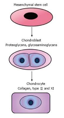 https://cdn.ncbi.nlm.nih.gov/pmc/blobs/6724/5605352/8998e3e71adf/WJO-8-674-g002.jpg