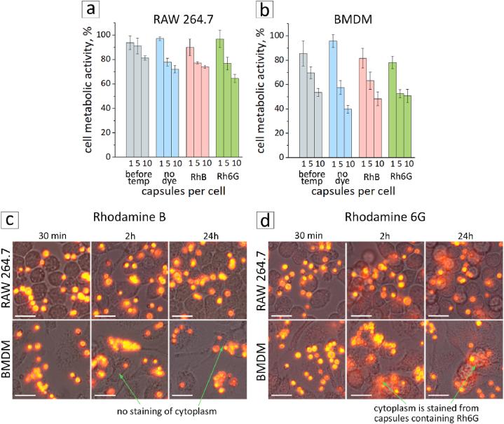 https://cdn.ncbi.nlm.nih.gov/pmc/blobs/6727/11133507/d2d26fa538d5/gr5.jpg