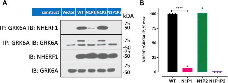 https://cdn.ncbi.nlm.nih.gov/pmc/blobs/6727/8042174/257043673b60/gr2.jpg