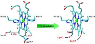 https://cdn.ncbi.nlm.nih.gov/pmc/blobs/6728/5474653/52f1fef2624a/OPEN-6-325-g001.jpg