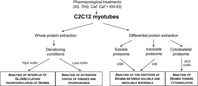 https://cdn.ncbi.nlm.nih.gov/pmc/blobs/6729/9198038/1ede94d80194/41598_2022_14033_Fig1_HTML.jpg