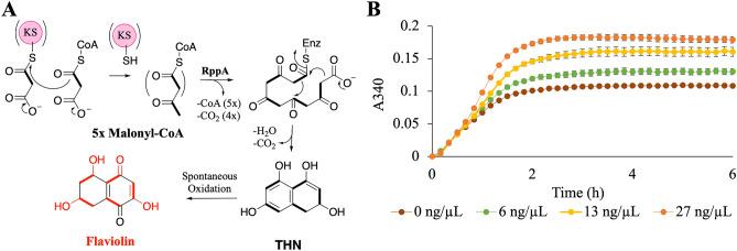 https://cdn.ncbi.nlm.nih.gov/pmc/blobs/672a/11153635/5173c3b482b5/41598_2024_61376_Fig3_HTML.jpg