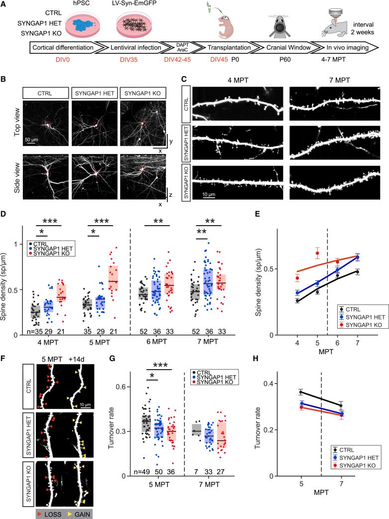 https://cdn.ncbi.nlm.nih.gov/pmc/blobs/672a/11446607/8b4dbf7be136/gr1.jpg