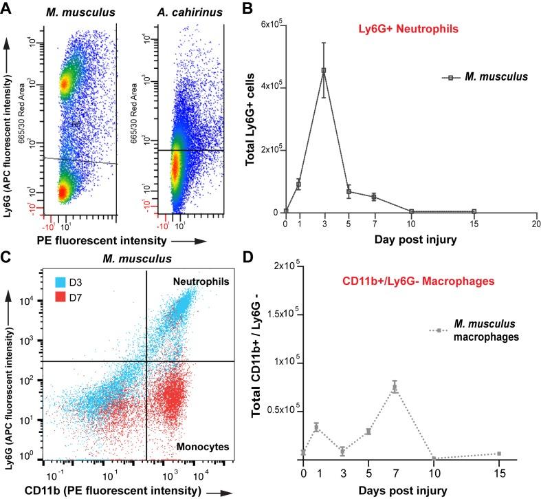 https://cdn.ncbi.nlm.nih.gov/pmc/blobs/672a/5433844/ef403a72a90a/elife-24623-fig2-figsupp2.jpg