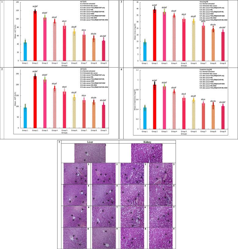 https://cdn.ncbi.nlm.nih.gov/pmc/blobs/672c/12090424/1051e0558877/12885_2025_14285_Fig9_HTML.jpg