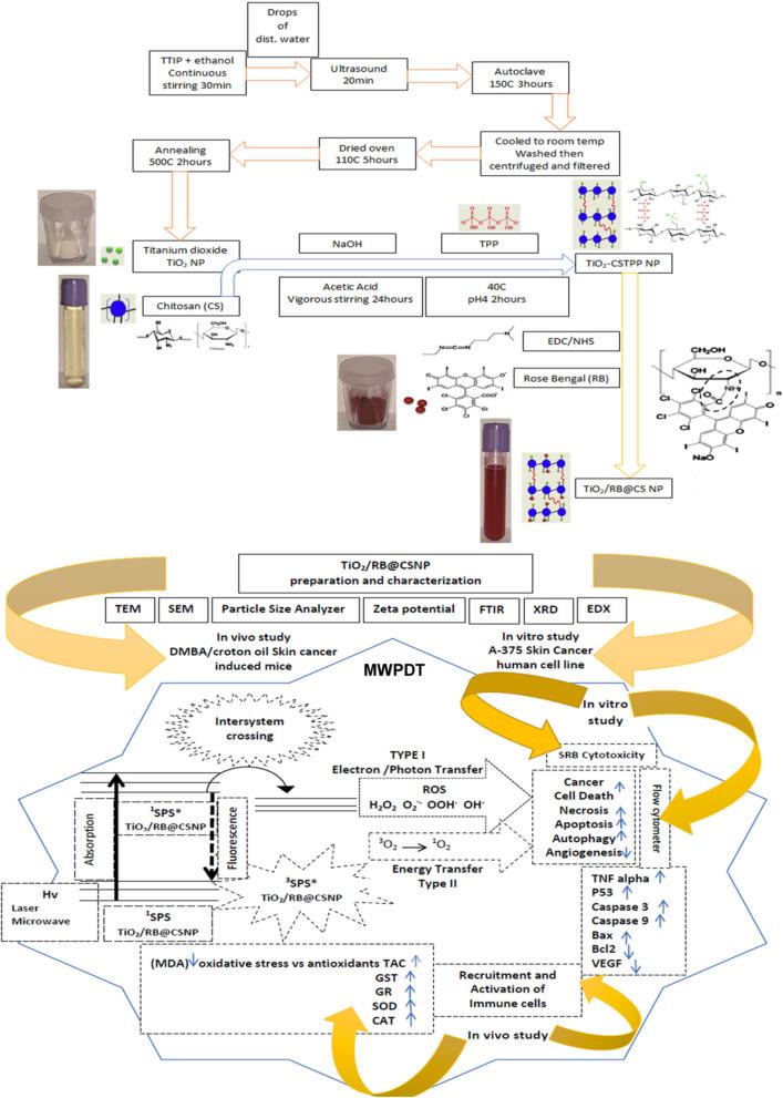 https://cdn.ncbi.nlm.nih.gov/pmc/blobs/672c/12090424/a587260e6ca3/12885_2025_14285_Fig1_HTML.jpg