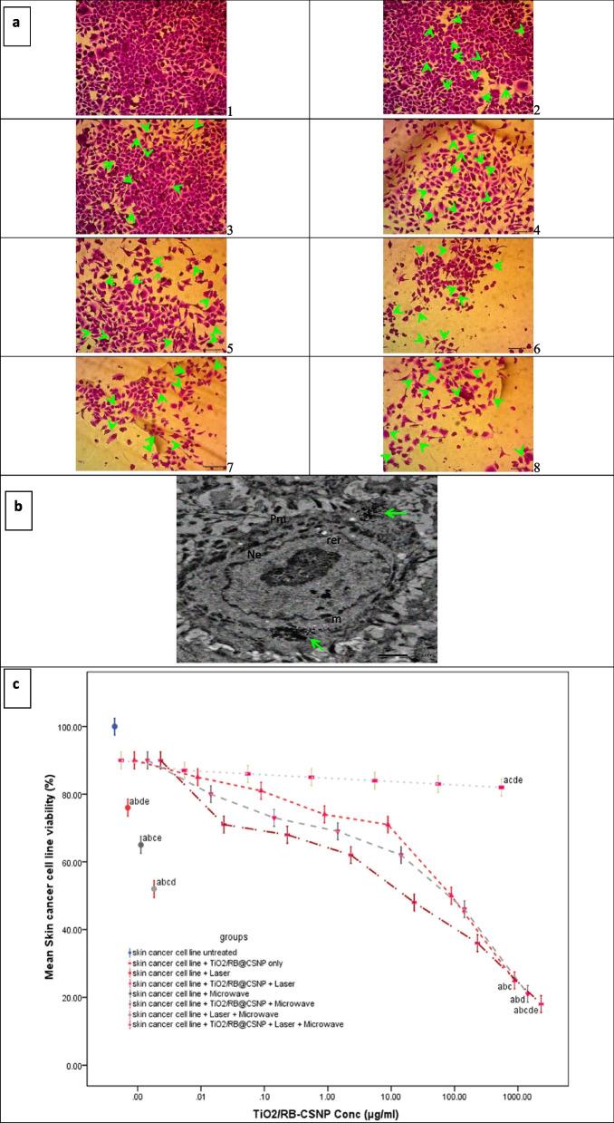 https://cdn.ncbi.nlm.nih.gov/pmc/blobs/672c/12090424/dfb30a1aa329/12885_2025_14285_Fig3_HTML.jpg