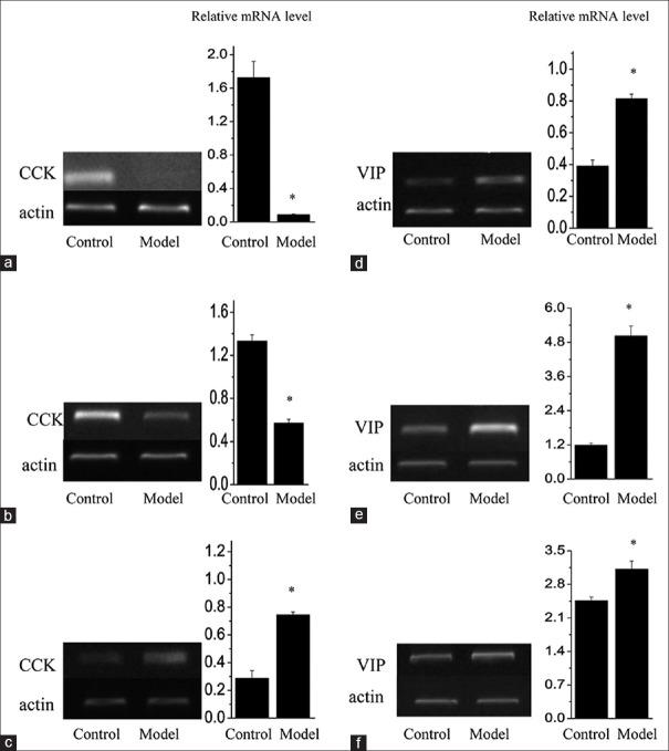 https://cdn.ncbi.nlm.nih.gov/pmc/blobs/672c/6080150/1982ecf174b7/SJG-24-228-g005.jpg