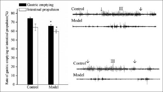 https://cdn.ncbi.nlm.nih.gov/pmc/blobs/672c/6080150/e1e9fbf13988/SJG-24-228-g001.jpg