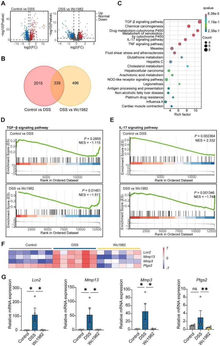 https://cdn.ncbi.nlm.nih.gov/pmc/blobs/672d/12068860/15481ac1c51d/fmicb-16-1574548-g002.jpg