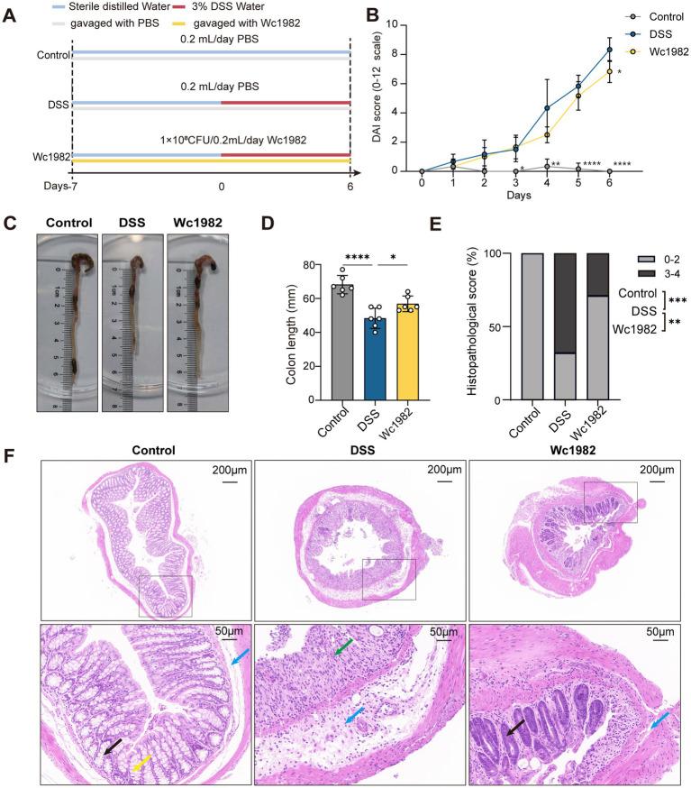 https://cdn.ncbi.nlm.nih.gov/pmc/blobs/672d/12068860/e876e93952f1/fmicb-16-1574548-g001.jpg