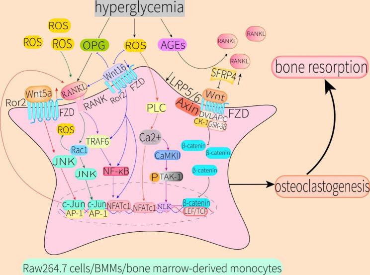https://cdn.ncbi.nlm.nih.gov/pmc/blobs/672e/10141960/14dec7b6c733/13098_2023_1067_Fig5_HTML.jpg