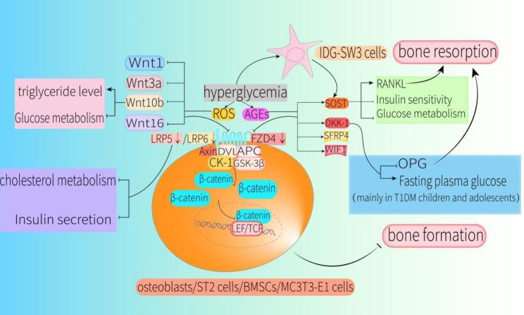 https://cdn.ncbi.nlm.nih.gov/pmc/blobs/672e/10141960/694e712c8fd2/13098_2023_1067_Fig2_HTML.jpg