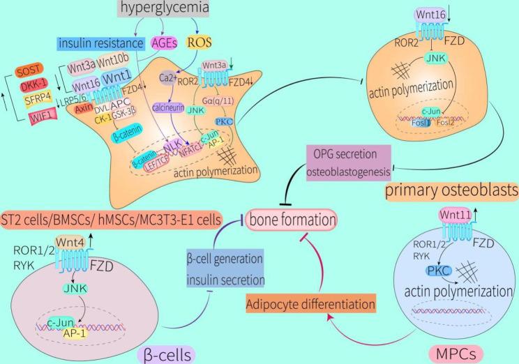 https://cdn.ncbi.nlm.nih.gov/pmc/blobs/672e/10141960/f27671ce82d8/13098_2023_1067_Fig4_HTML.jpg