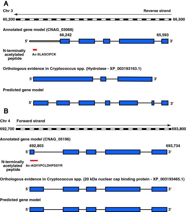 https://cdn.ncbi.nlm.nih.gov/pmc/blobs/672e/3915034/34ebdc943787/1559-0275-11-5-5.jpg