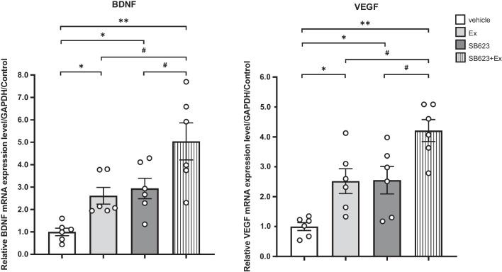 https://cdn.ncbi.nlm.nih.gov/pmc/blobs/672f/9872315/7214d4a428d9/13287_2023_3236_Fig9_HTML.jpg