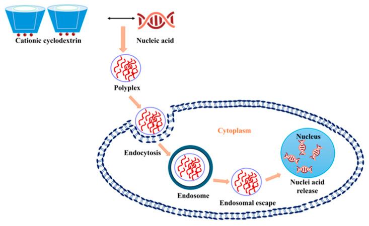 https://cdn.ncbi.nlm.nih.gov/pmc/blobs/6731/11768558/127b8e5ea891/pharmaceutics-17-00081-g003.jpg