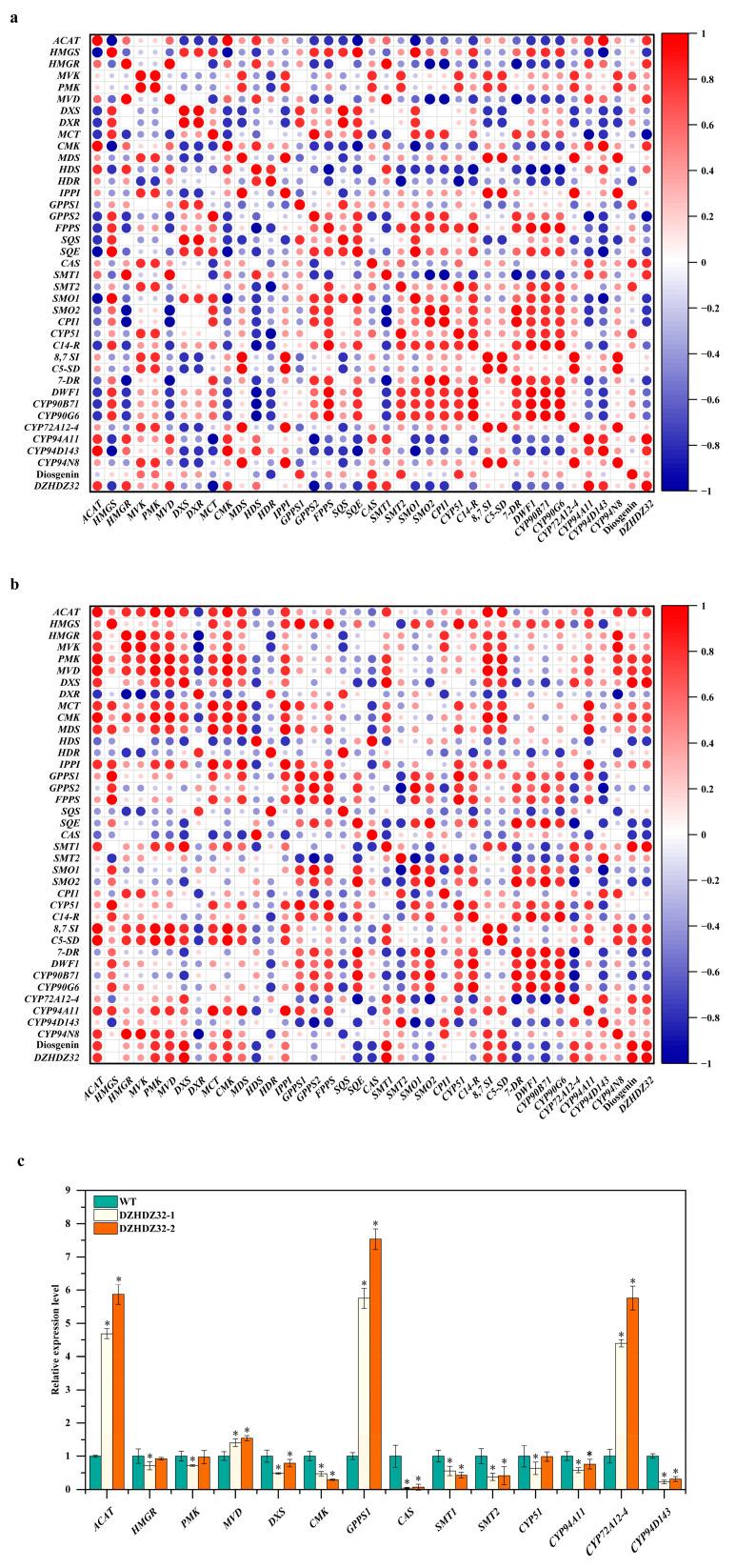 https://cdn.ncbi.nlm.nih.gov/pmc/blobs/6734/12071675/b2d34b590426/ijms-26-04185-g006.jpg