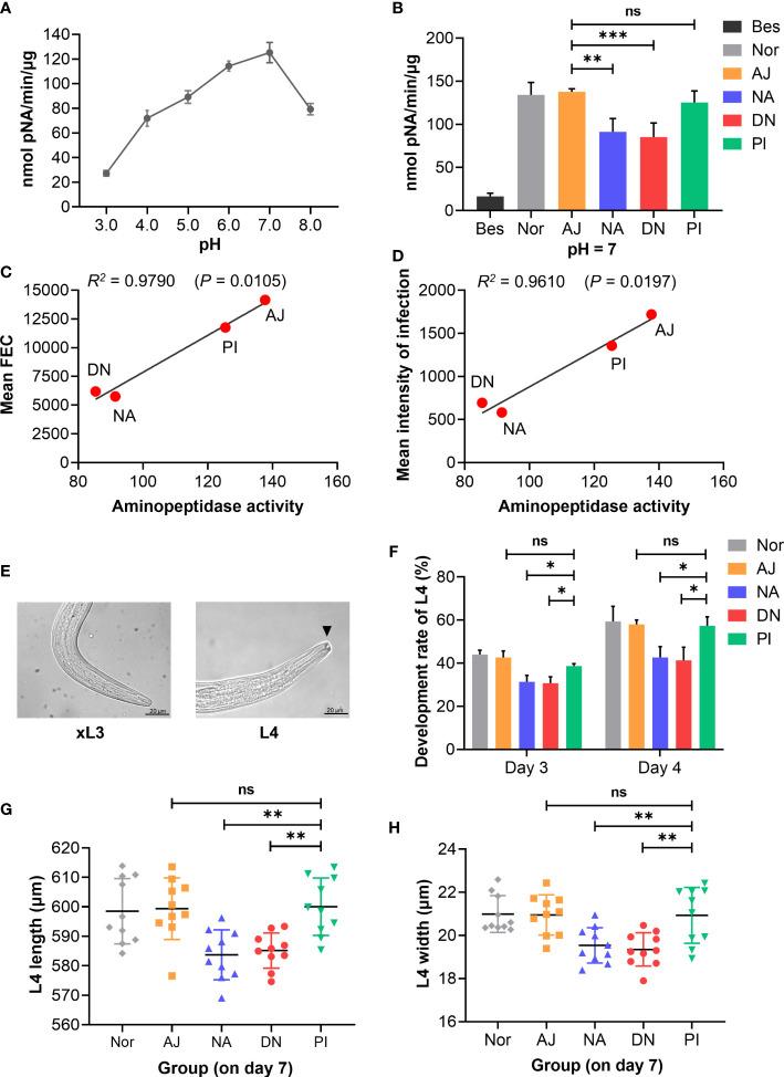 https://cdn.ncbi.nlm.nih.gov/pmc/blobs/6735/9667387/46d497a26450/fimmu-13-1034820-g008.jpg