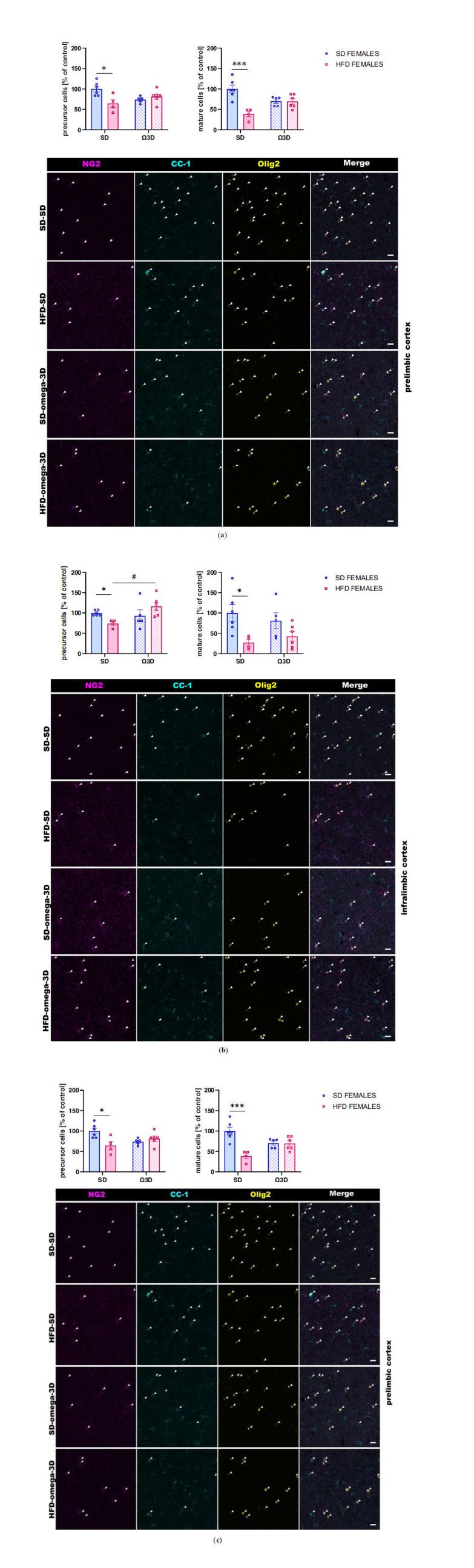 https://cdn.ncbi.nlm.nih.gov/pmc/blobs/6736/11808589/1e728f913e04/CN-23-3-329_F6.jpg