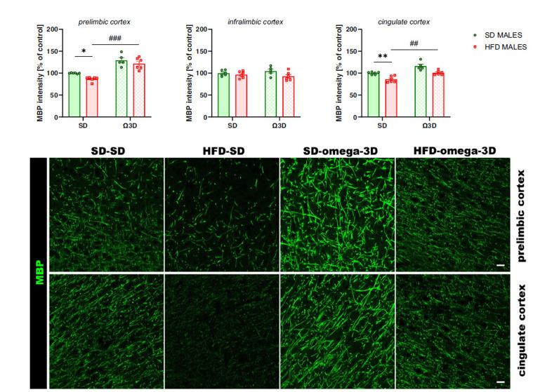 https://cdn.ncbi.nlm.nih.gov/pmc/blobs/6736/11808589/6806533c7e7c/CN-23-3-329_F5.jpg