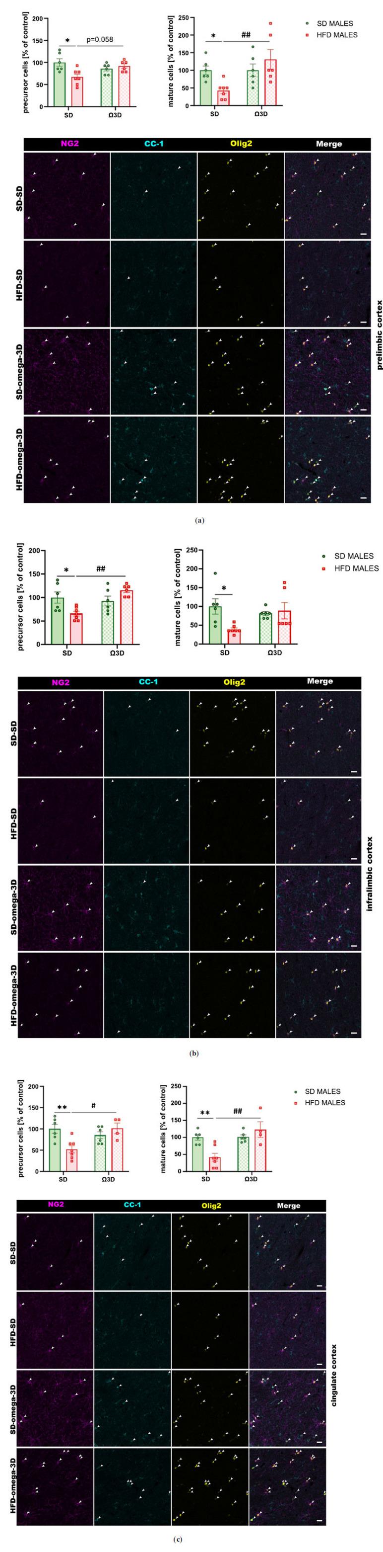 https://cdn.ncbi.nlm.nih.gov/pmc/blobs/6736/11808589/6e0898e82362/CN-23-3-329_F4.jpg