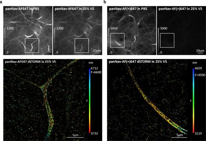 https://cdn.ncbi.nlm.nih.gov/pmc/blobs/6736/7160131/d810daf7a98e/41598_2020_63418_Fig6_HTML.jpg