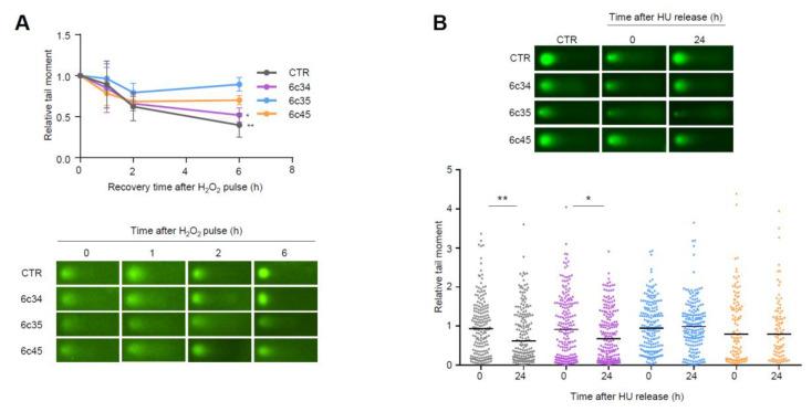 https://cdn.ncbi.nlm.nih.gov/pmc/blobs/6736/7599452/5c0a77ecdbb2/cancers-12-02840-g006.jpg