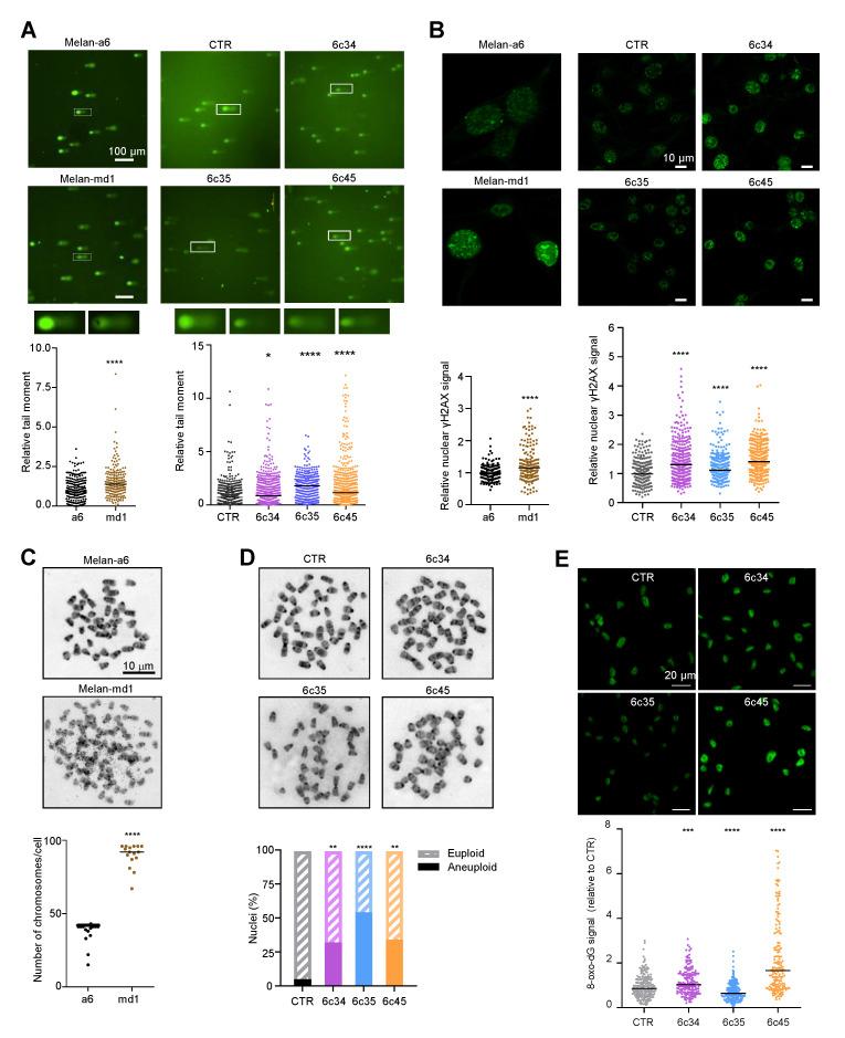 https://cdn.ncbi.nlm.nih.gov/pmc/blobs/6736/7599452/7f8eeae4f0ff/cancers-12-02840-g005.jpg