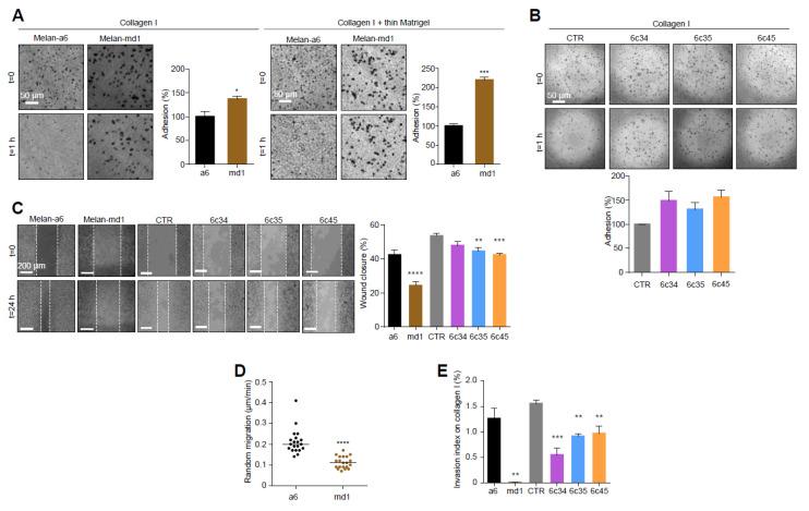 https://cdn.ncbi.nlm.nih.gov/pmc/blobs/6736/7599452/c571178b80a2/cancers-12-02840-g002.jpg