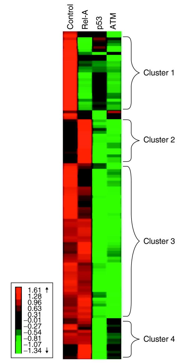 https://cdn.ncbi.nlm.nih.gov/pmc/blobs/6737/1175955/11414cfd93d8/gb-2005-6-5-r43-2.jpg